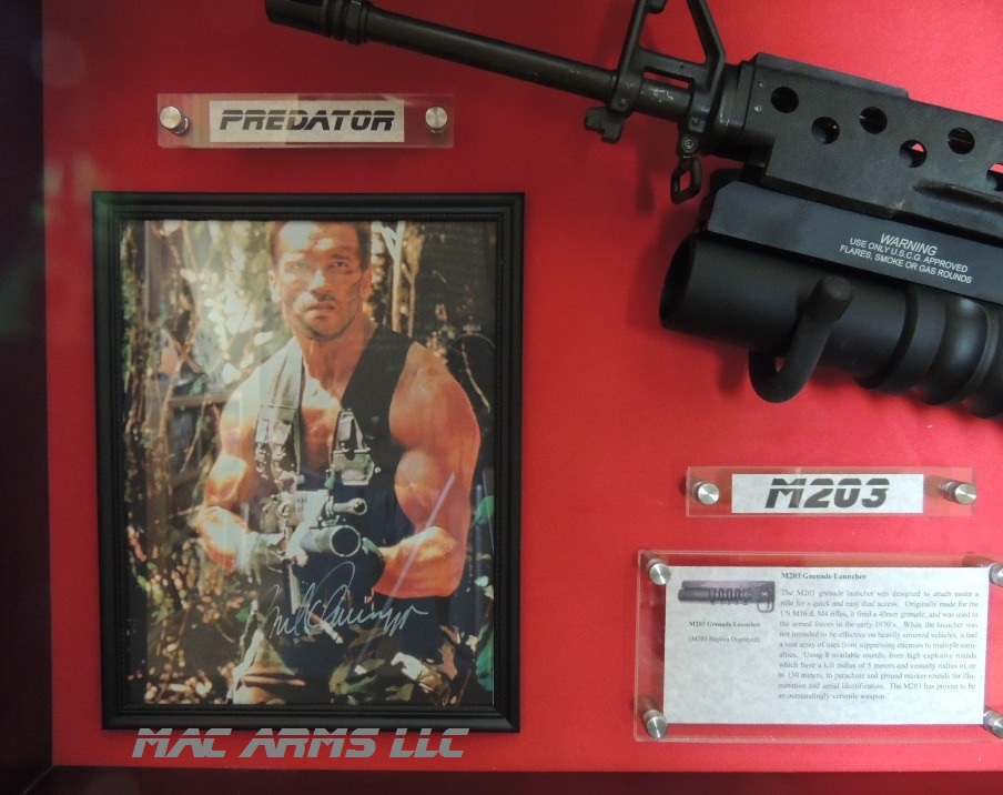 Exclusive Colt AR15 SP1 Predator Arnold Schwarz Display Case