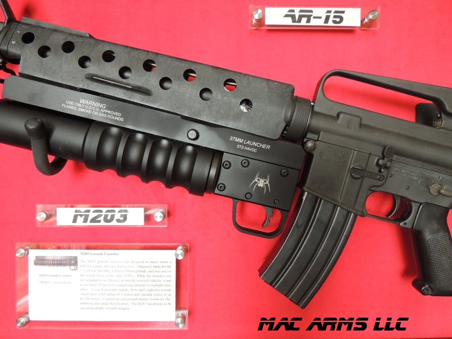Exclusive Colt AR15 SP1 Predator Arnold Schwarz Display Case
